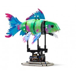 Splash Koi Skin
