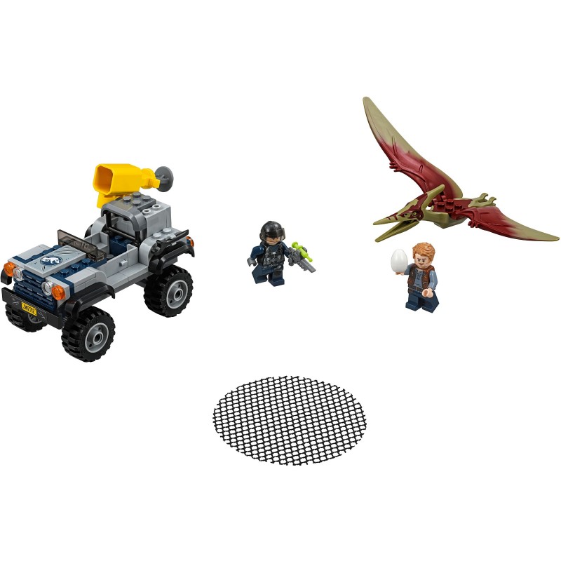 Pteranodon Chase Pteranodon Chase
