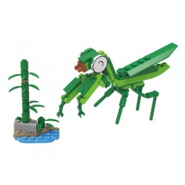 Insect Series