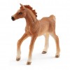 Девочка с жеребенком 42361 Schleich