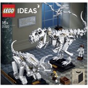 Конструктор 21320 LEGO Ideas «Кости динозавров» для взрослых теперь можно купить только в США