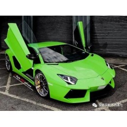 Фотообзор на SY8600 SY Lamborghini Sián FKP 37 1:14