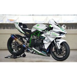 Фотообзор на 50007 RAEL Kawasaki H2 Super Motor