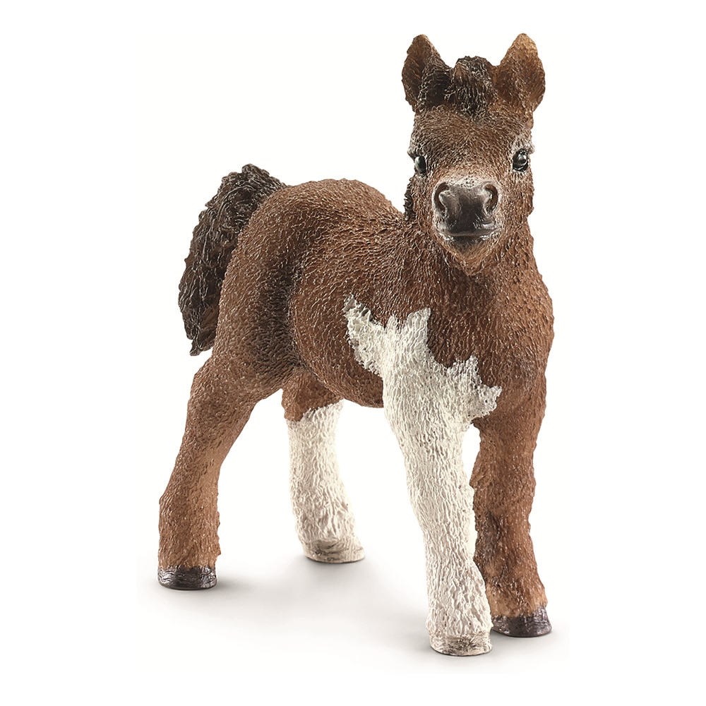 Жеребенок шляйх. Schleich 13752. Шетлендский пони шляйх. Schleich шотландский пони. Schleich пони Шетланд.